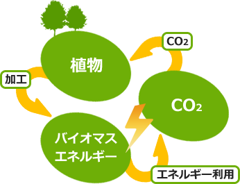 植物→（加工）→バイオマスエネルギー→（エネルギー利用）→co2→植物…