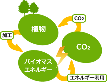 植物→(加工)→バイオマスエネルギー→(エネルギー利用)→co2→植物…
